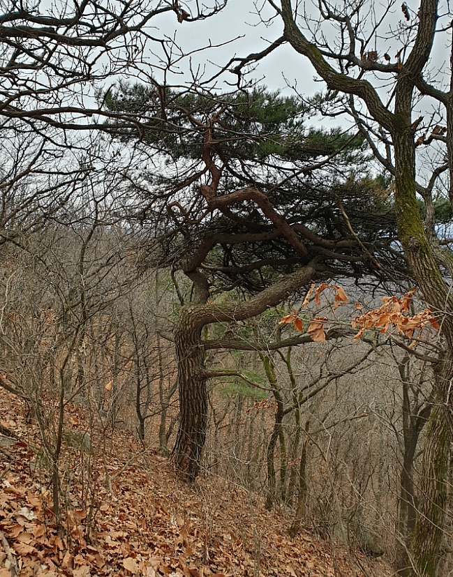 덕성산 정상 이미지