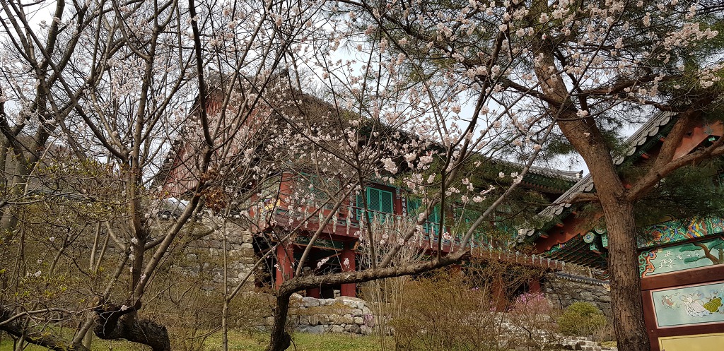 추줄산 위봉사