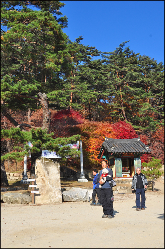 별장횟집 이미지