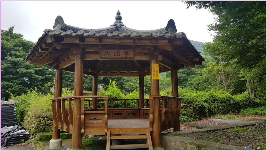 수령200년된 느티나무