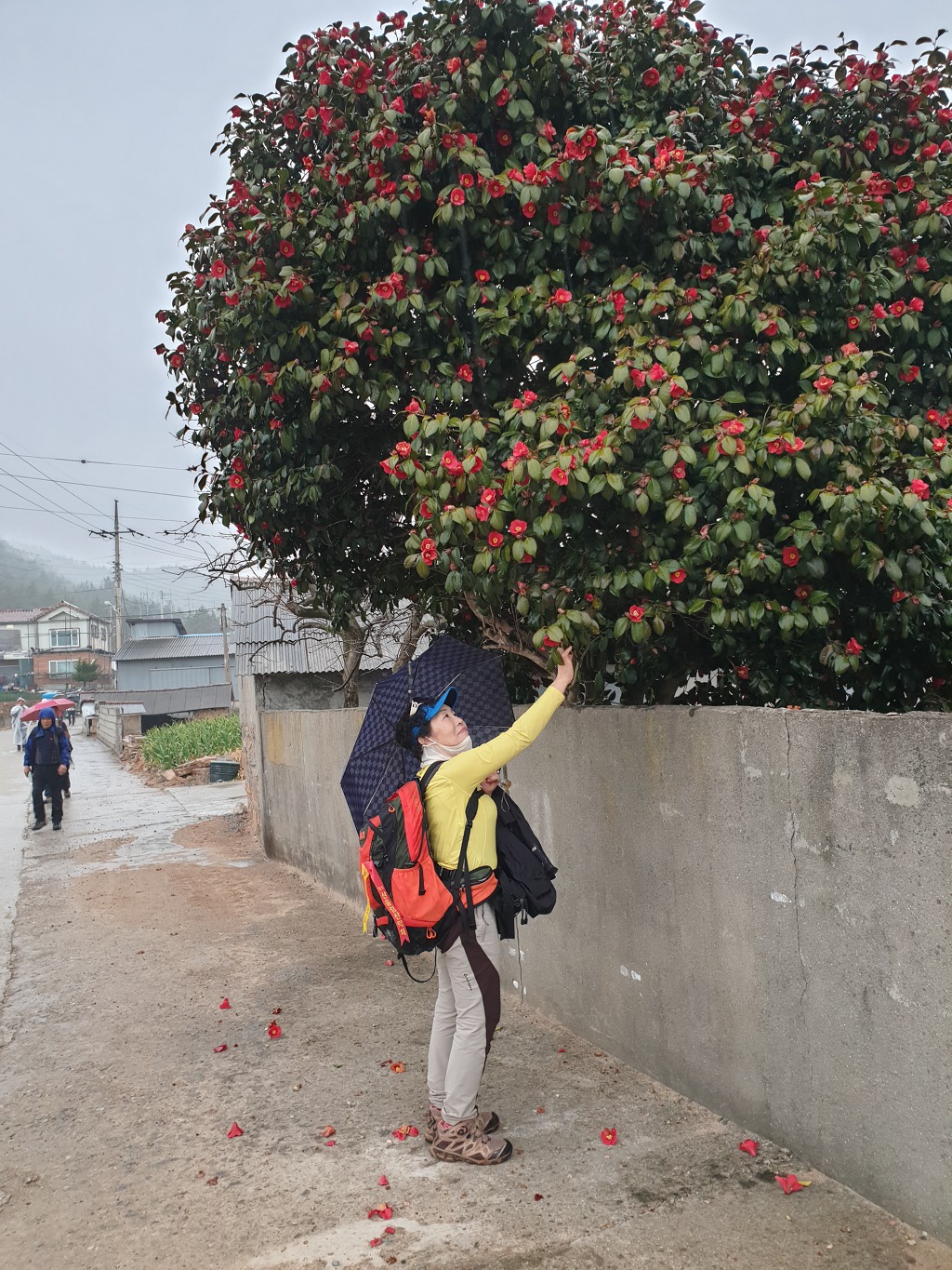 20199407제16차절라도신안군암태면승봉산