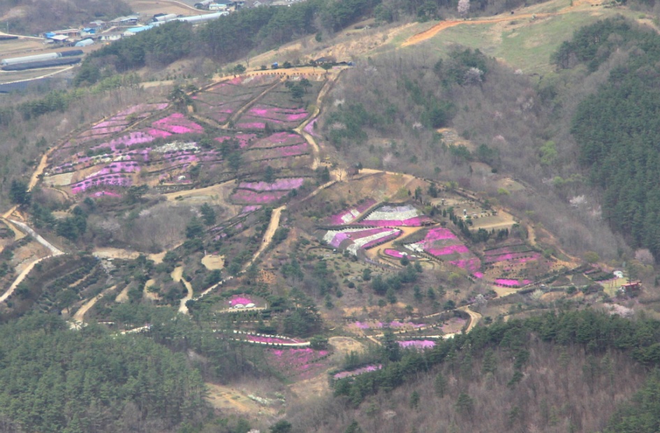 진안 마이산(암마이봉) 벚꽃산행 / 20180413(금)