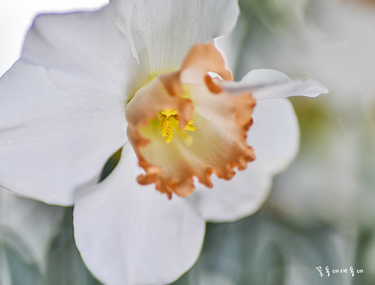 마음을 가꾸세요/ 오광수