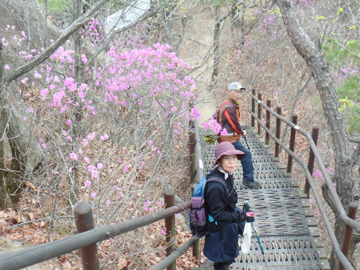 1045- 慶州 南山 고위봉(高位峯:494m)을 다녀왔어요.