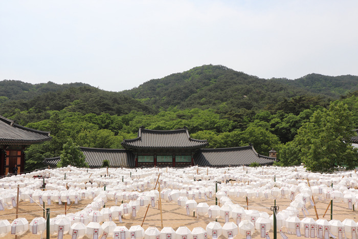 원본이미지(클릭)