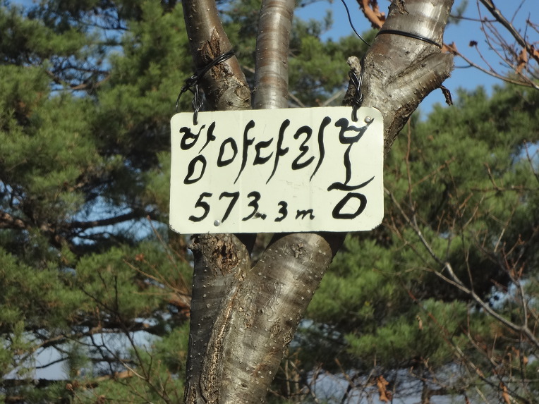광바위 주유소 이미지