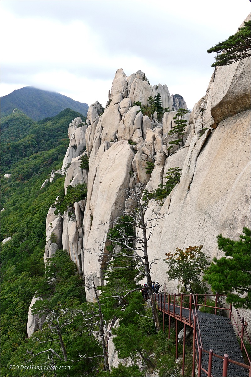 설악산 울산바위를 오르며 만난 설악의 풍경들~!!
