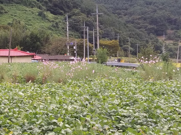 헌책방산책 이미지