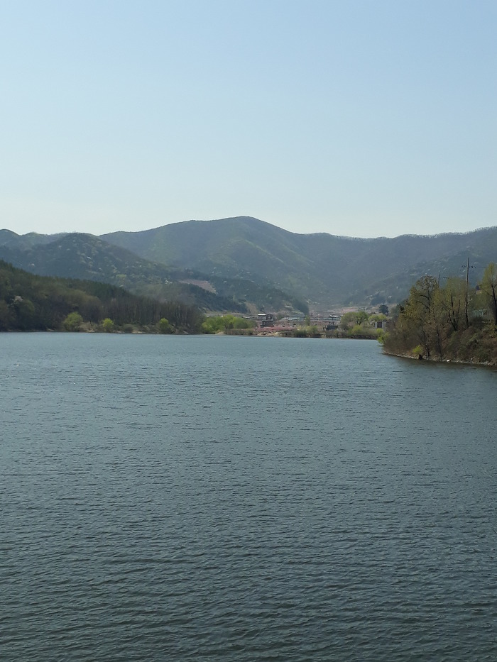 경산의 봄