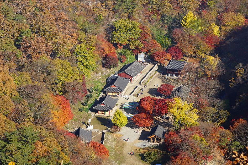 순창 강천산의 일출과 단풍