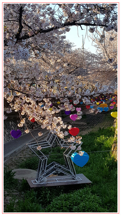 진해 내수면생태공원의 봄