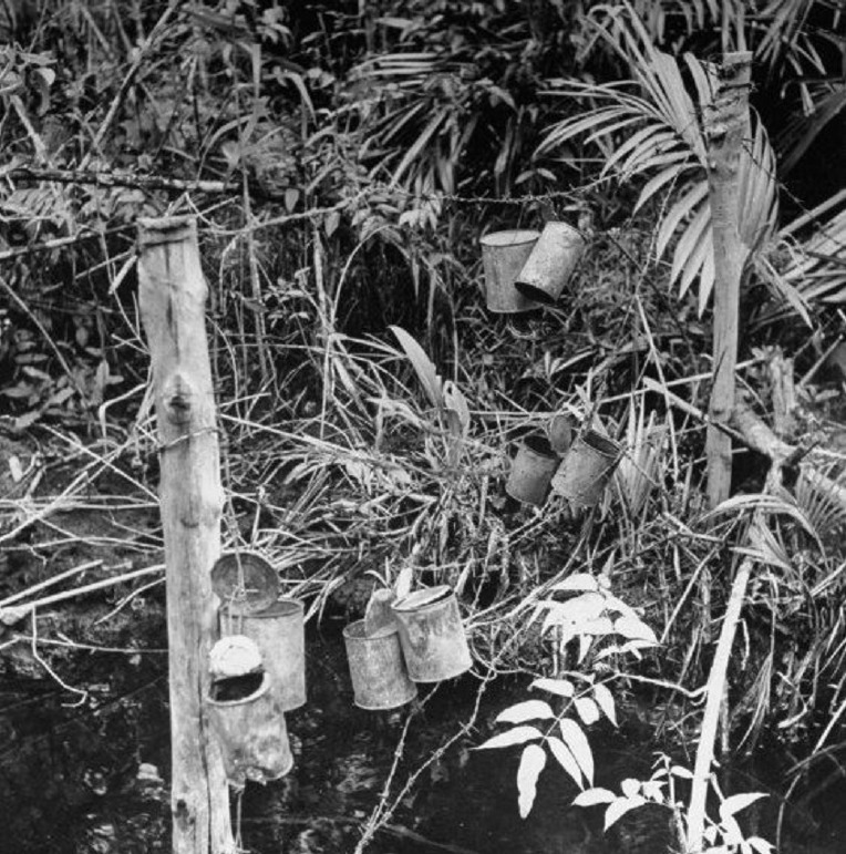 태평양전쟁 당시 일본군의 뉴기니 부비 트랩 - Pacific War Japanese Booby Trap in New Guinea