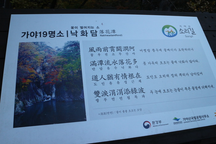 해인사소리길/합천삼겹살맛집/합천부자돼지