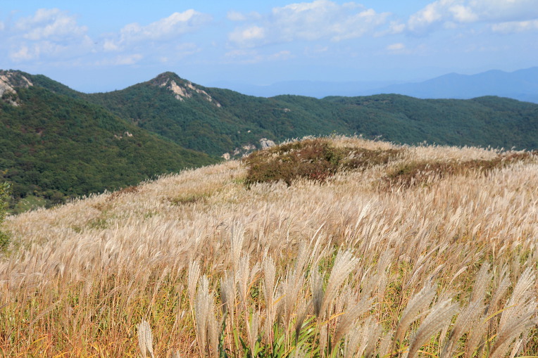 * 합천 황매산 억새 축제 산행기