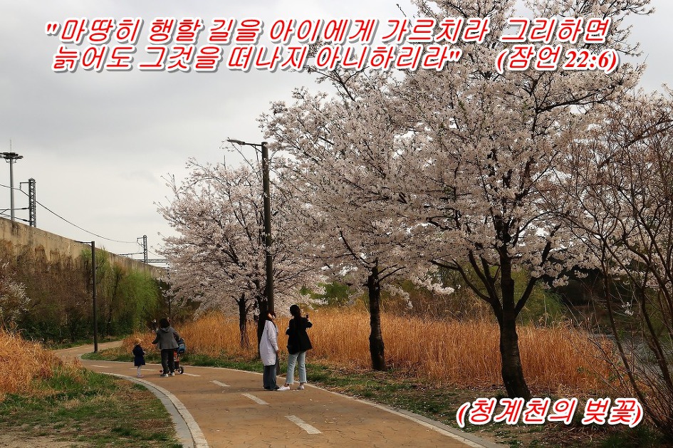 '잠언 22장 6절 말씀' 