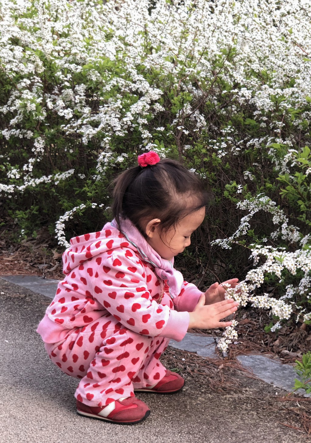 아 이쁘다