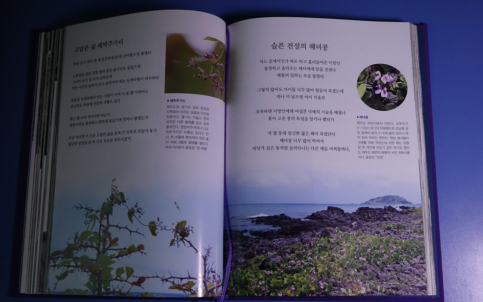 제주도 야생화 시집을 펴내며