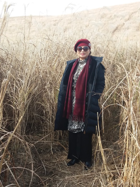 제주 새별오름에서