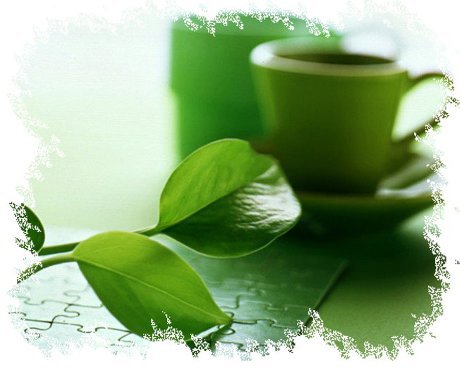 필리핀 농촌생활 하기까지(5).- 걱정없이 편안한 삶을 살아가고 있고 내 능력이 닿은한 생각했던 계획을 하나 하나 추진해 나가고 있다.