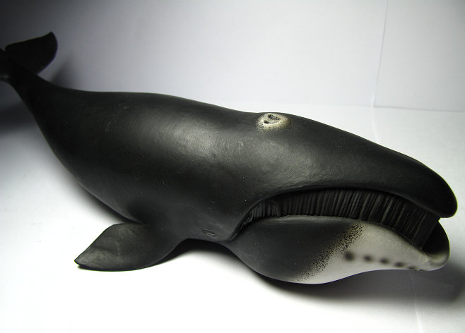 bowhead whale plush